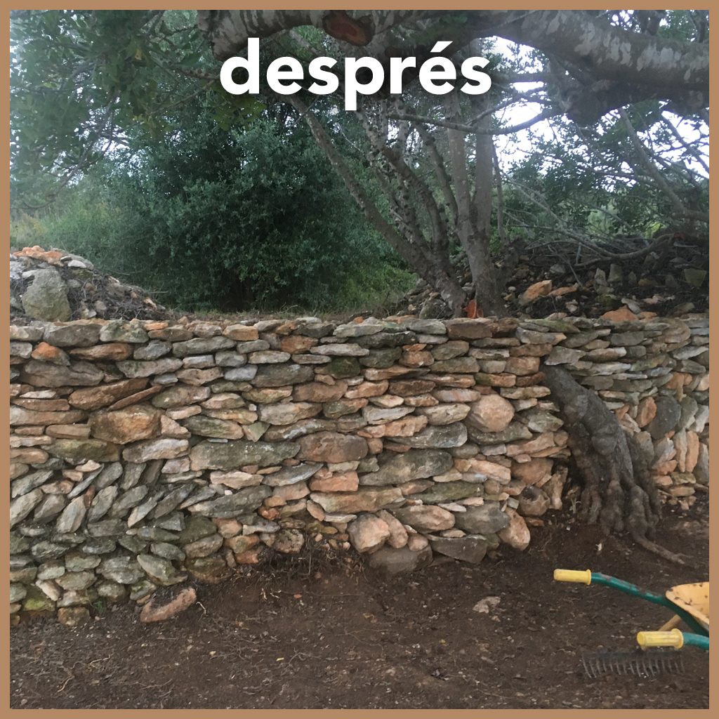 Marge reparat Marge reparat