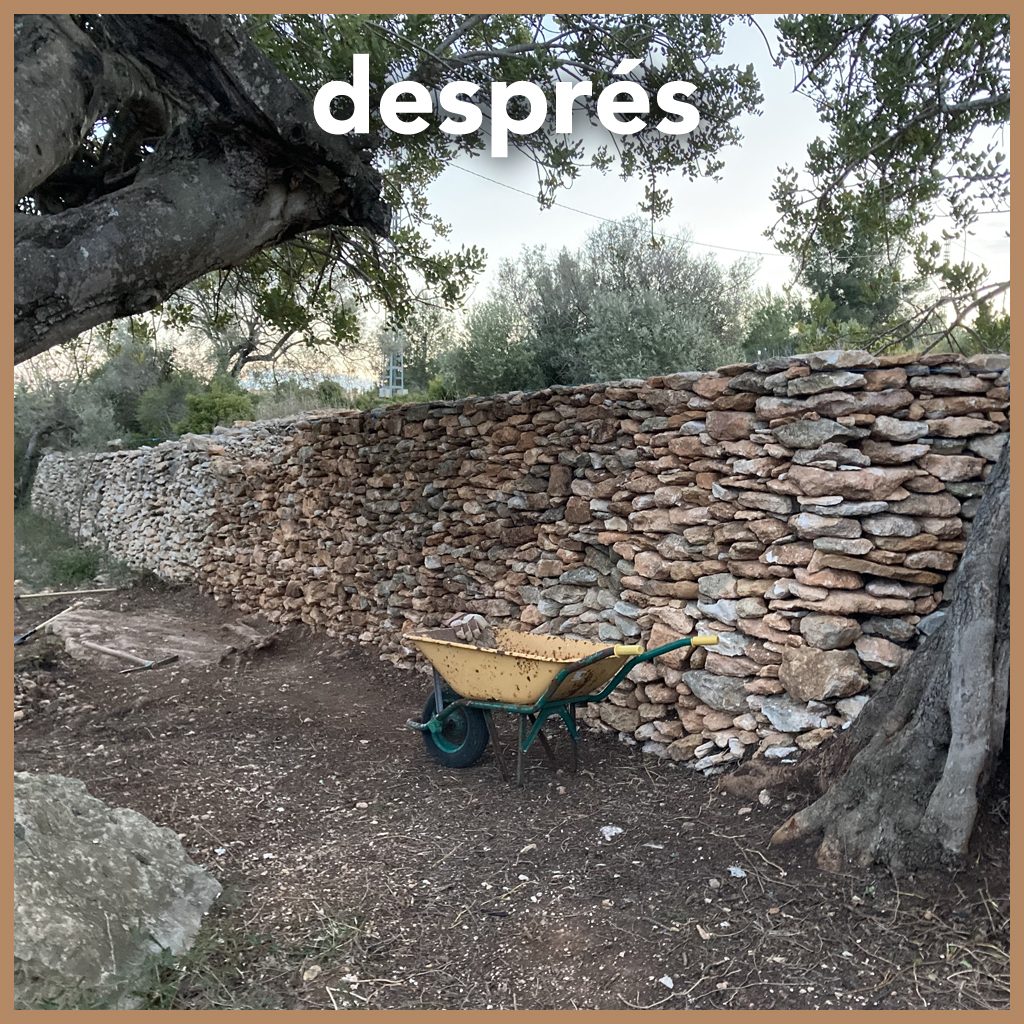 Marge reparat Marge reparat